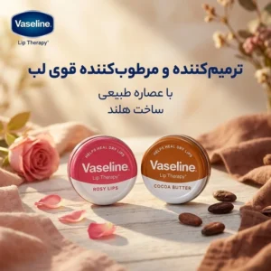 بالم لب وازلین مدل Rose و Coco کاسه‌ای با عصاره طبیعی، ترمیم‌کننده و مرطوب‌کننده قوی لب، ساخت هلند